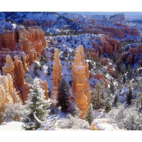 USA, Utah, Bryce Canyon NP Winter